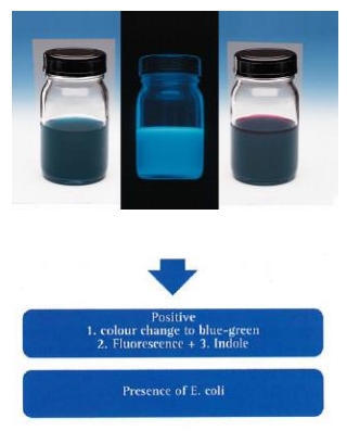 Readycult Coliform 대장균, 총대장균군 정성검사 간이키트